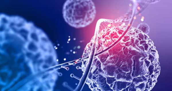 Understanding Stem Cell Therapy in Indonesia